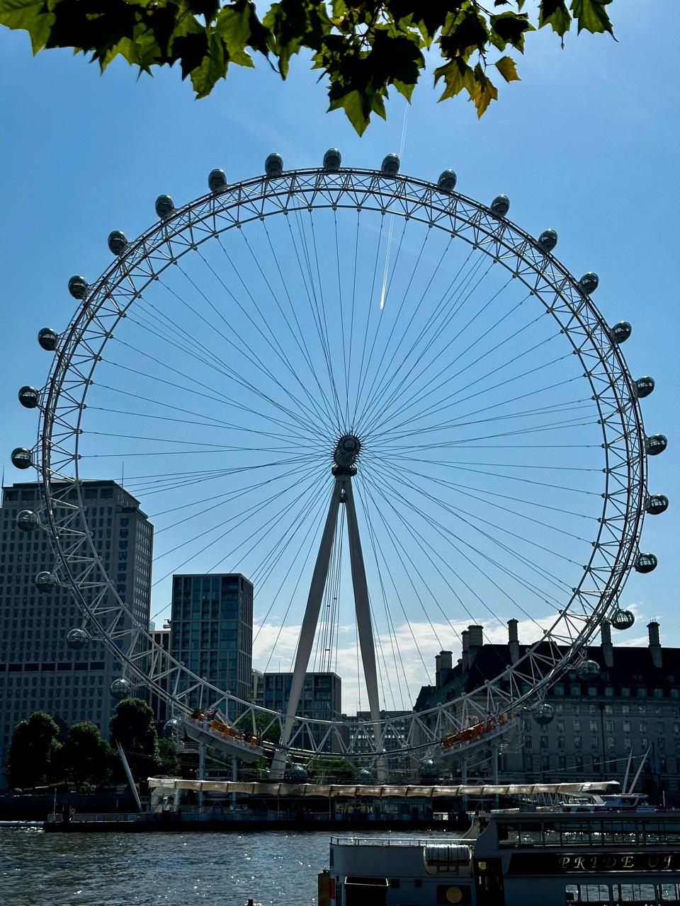 London Eye viewed across the River Thames